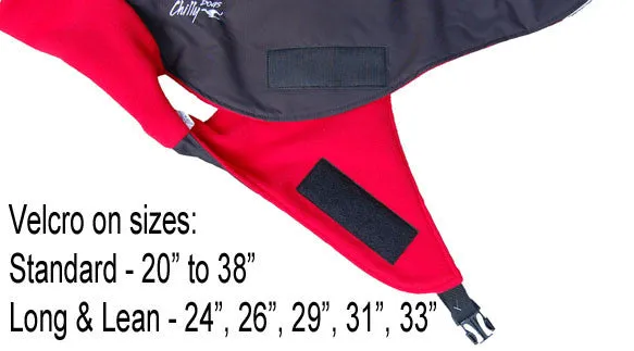 Winter Coat for Large Dogs- "Great White North" by Chilly Dogs