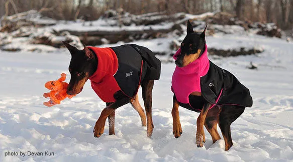 Winter Coat for Large Dogs- "Great White North" by Chilly Dogs