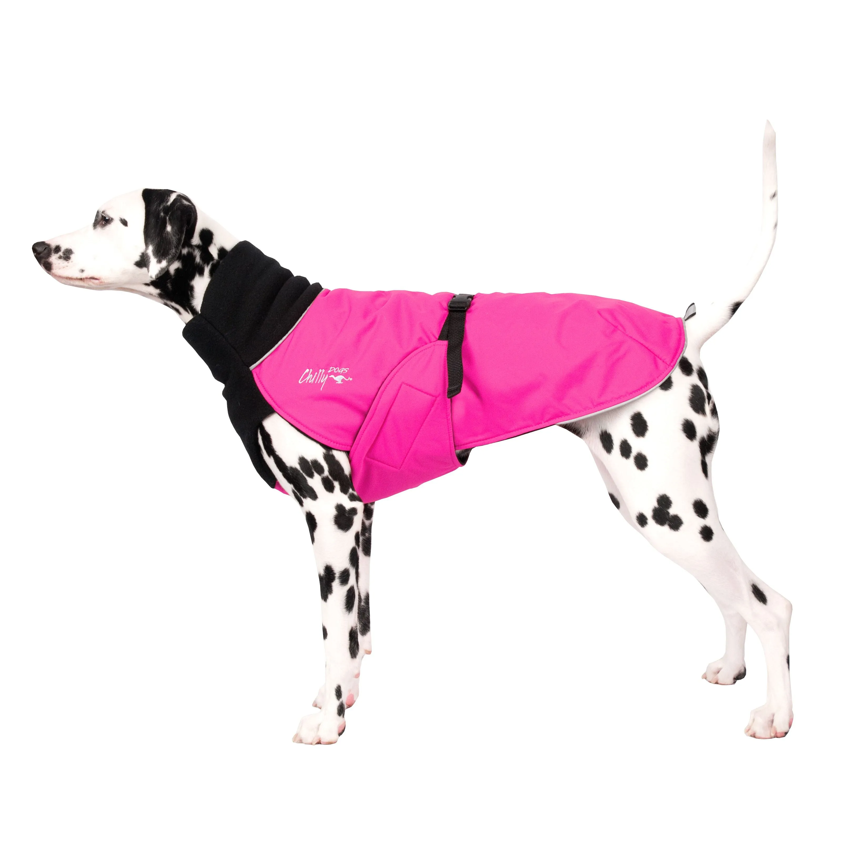 Winter Coat for Large Dogs- "Great White North" by Chilly Dogs