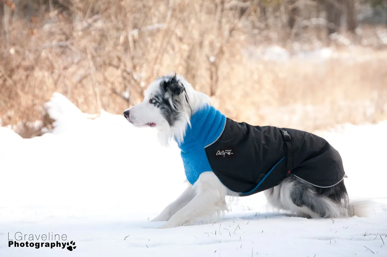 Winter Coat for Large Dogs- "Great White North" by Chilly Dogs