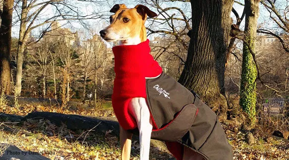 Winter Coat for Large Dogs- "Great White North" by Chilly Dogs