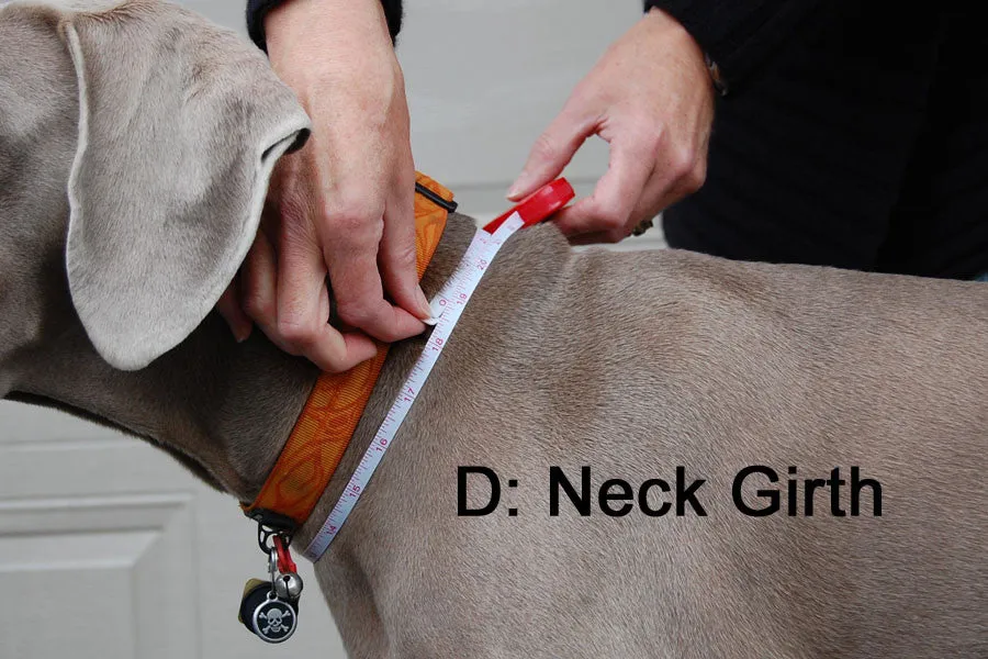 Winter Coat for Large Dogs- "Great White North" by Chilly Dogs