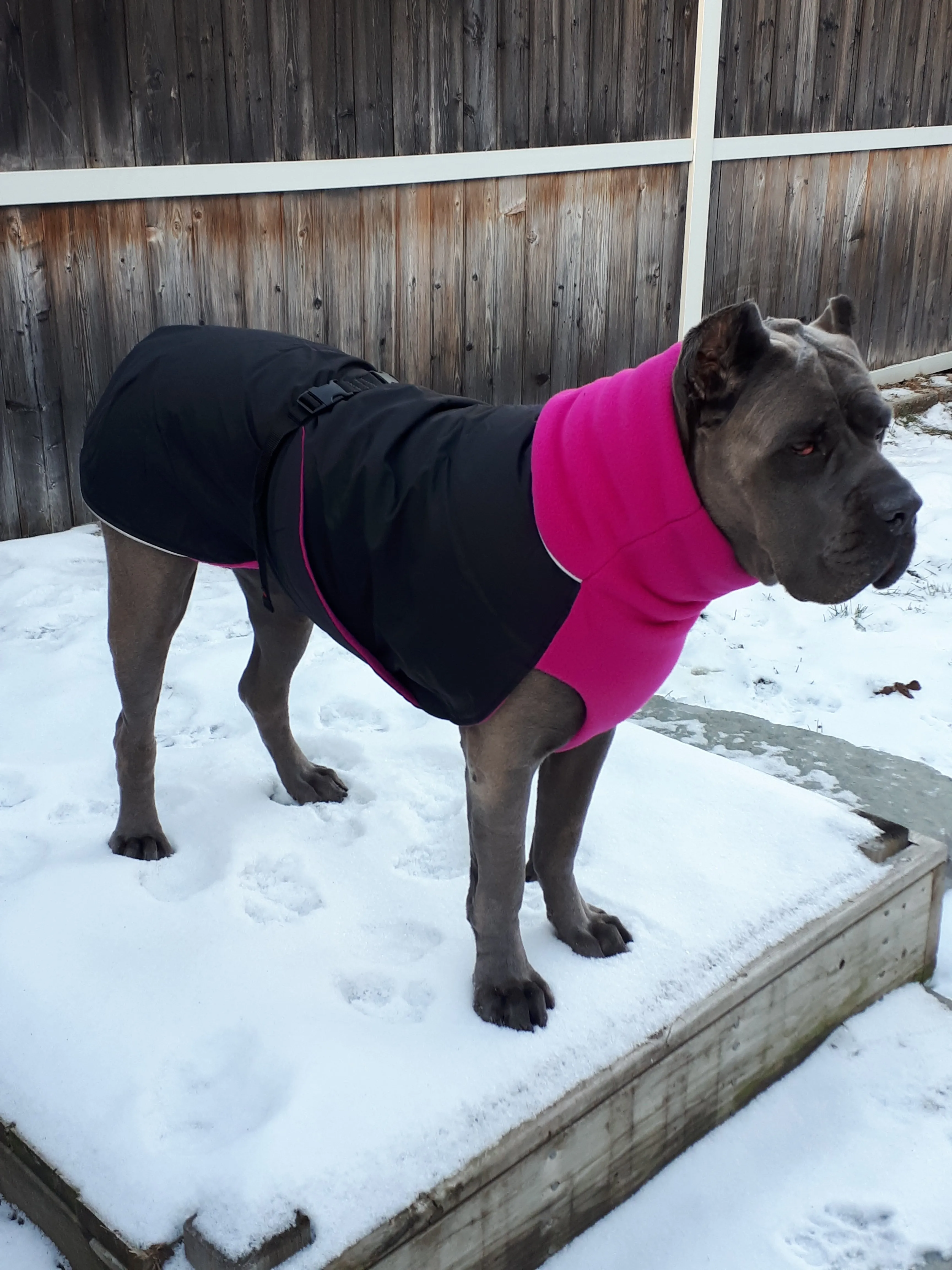 Winter Coat for Large Dogs- "Great White North" by Chilly Dogs