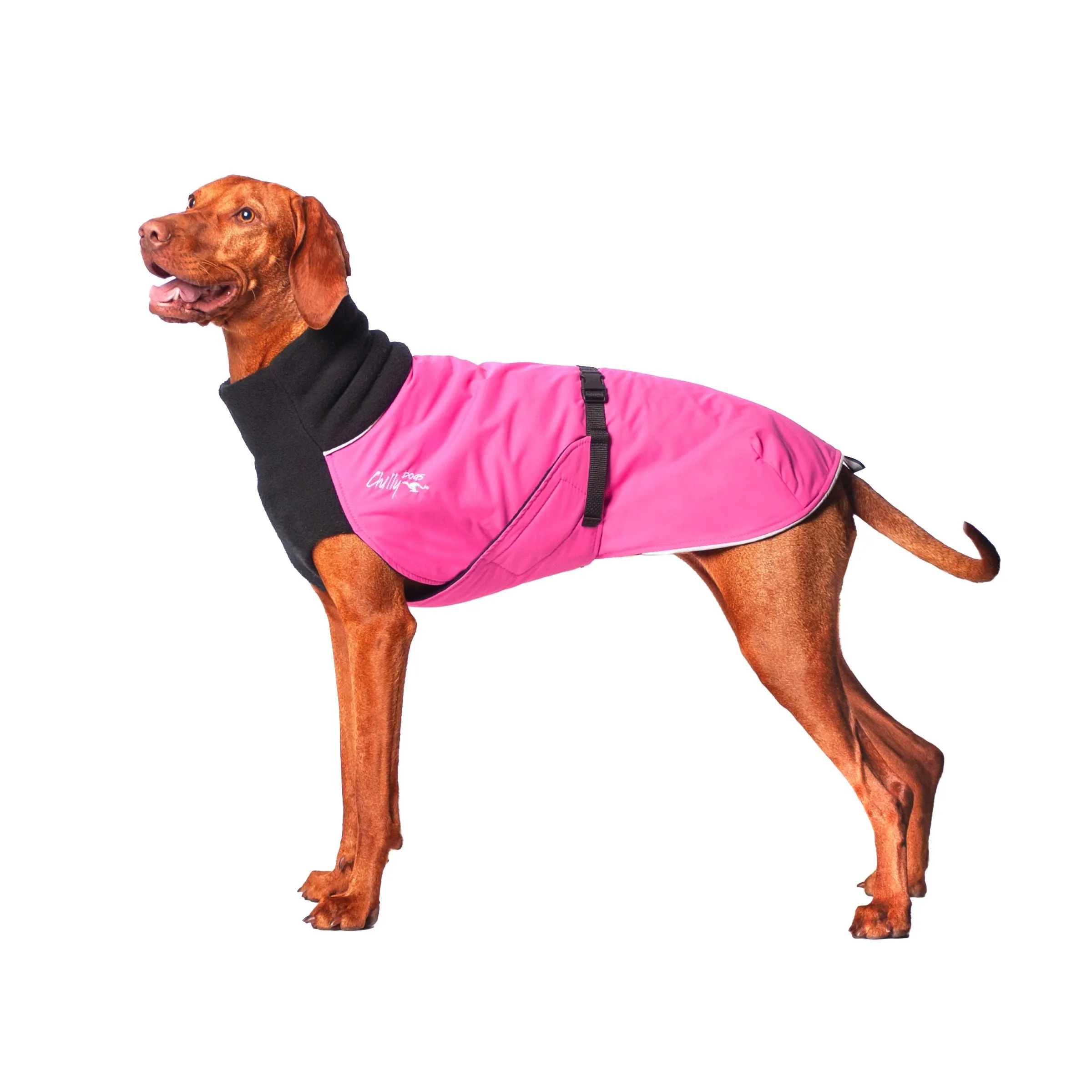 Winter Coat for Large Dogs- "Great White North" by Chilly Dogs