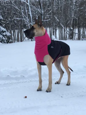 Winter Coat for Large Dogs- "Great White North" by Chilly Dogs