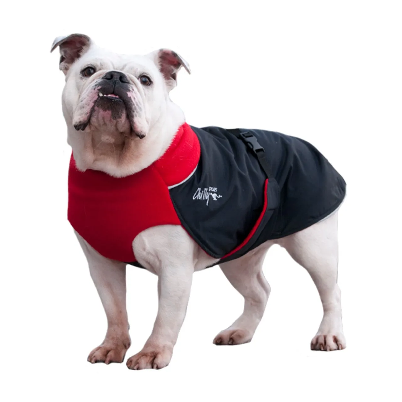 Winter Coat for Large Dogs- "Great White North" by Chilly Dogs