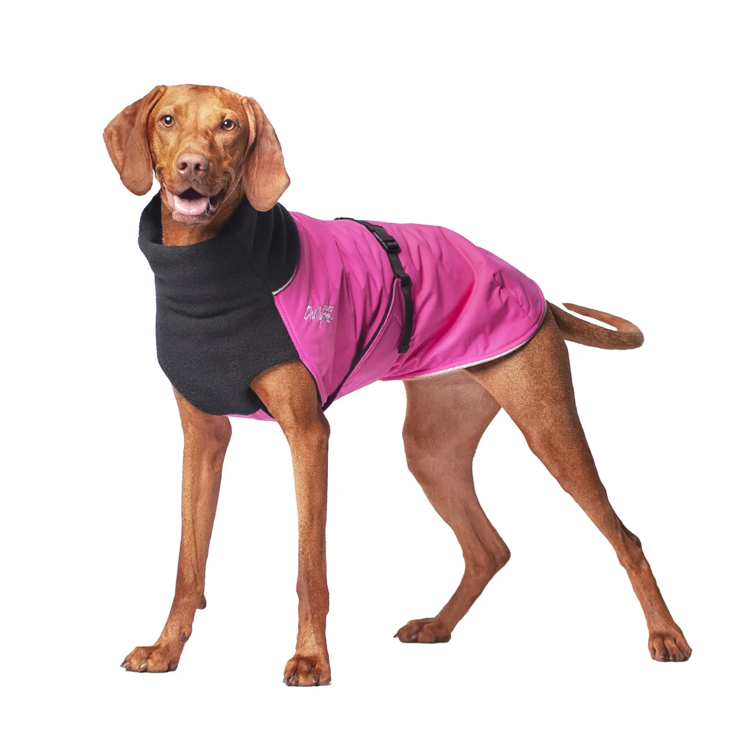 Winter Coat for Large Dogs- "Great White North" by Chilly Dogs